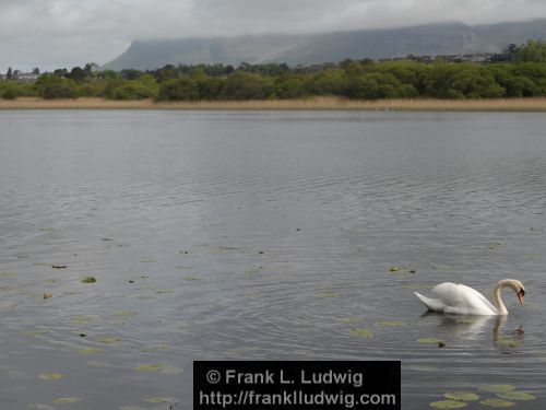 Lough Gill